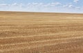 Boundless fields after harvest in Summer time.