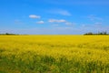 Boundless fields of Ukraine