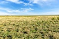 boundless steppe. Pampas