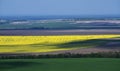 Boundless yellow, green and grey fields separated by trees