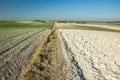 Bounds between autumn sown fields, blue sky