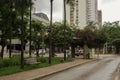 Boungainvillea flowered street in Goiania, Brazil