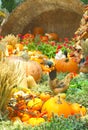 A Bountiful Autumn Harvest Royalty Free Stock Photo