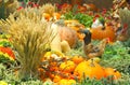 A Bountiful Autumn Harvest Royalty Free Stock Photo