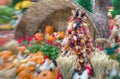 A Bountiful Autumn Harvest in selective focus Royalty Free Stock Photo