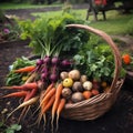 Fresh Harvest from the Farm: Carrots, Beets, and Turnips