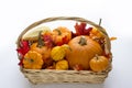 Fall basket overflowing with pumpkins, gourds & fall leaves Royalty Free Stock Photo