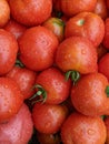 A bountiful sight unfolds in the image, showcasing an abundance of vibrant red tomatoes.