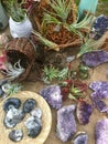 Amethyst and air plants