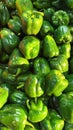 A Bounty of Fresh Green Bell Peppers. Piled High, These Vegetables Are a Feast for the Eyes