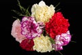 Bouqet of multicolour flowers of carnation Dianthus isolated on black background, close up. Royalty Free Stock Photo