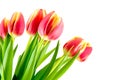 Bouqet red with yellow tulips Royalty Free Stock Photo