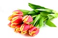 Bouqet red with yellow tulips Royalty Free Stock Photo