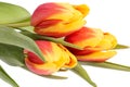 Bouqet of spring flowers yellow - red tulips isolated on white background, close up.