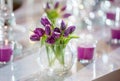 Bouqet of violet tulips Royalty Free Stock Photo