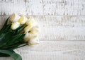 Copy space of tulips on the wooden background Royalty Free Stock Photo