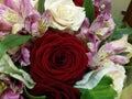 Bouqette of flowers with rose an iris Royalty Free Stock Photo