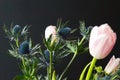 Bouque of Blue Thistle and pink tulips over black