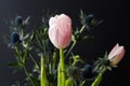 Bouque of Blue Thistle and pink tulips over black