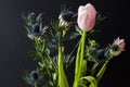 Bouque of Blue Thistle and pink tulips over black