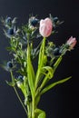 Bouque of Blue Thistle and pink tulips over black