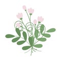 Bouquet of abstract twigs with small leaves, climbing plant and flowering twig in trendy soft shades