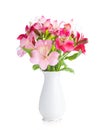 Bouquet of Alstroemeria flowers