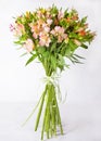 Bouquet alstroemeria on a light gray background. Still life with colorful alstroemeria. Fresh alstroemeria. Place for text. Flower