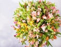 Bouquet alstroemeria on a light gray background. Still life with colorful alstroemeria. Fresh alstroemeria. Place for text. Flower