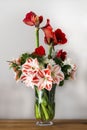 Bouquet with amaryllis
