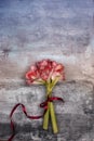 Bouquet amaryllis top view