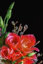 Bouquet. anemone