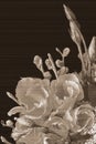 Bouquet. anemone
