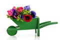 Bouquet Anemones in wheel barrow Royalty Free Stock Photo