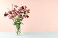 Bouquet with aquilegia in a vase, flower arrangement, Minimal abstract background for cosmetic products presentation, holiday
