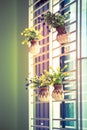 Bouquet of artificial flowers on vase at the window, Royalty Free Stock Photo