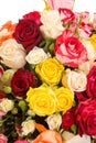 Bouquet of assorted multicolored roses isolated on white background Royalty Free Stock Photo