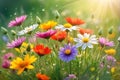 Bouquet of Assorted Vivid Wildflowers Occupying the Center of the Frame - Soft Focus Background of Abundance