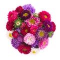 Bouquet of aster flowers Royalty Free Stock Photo