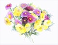 Bouquet of asters on a white background