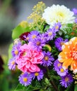 Bouquet of autumn flowers