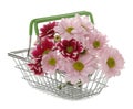 Bouquet of autumn flowers of pink chrysanthemums in a shopping trolley on a white isolated background Royalty Free Stock Photo