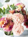 Bouquet of autumn flowers in a vase on the table. Peach asters and burgundy with yellow dahlias with eucalyptus branches in a vase Royalty Free Stock Photo