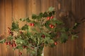 Bouquet of autumn tree branches with red berries in a glass vase Royalty Free Stock Photo