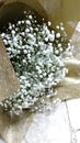 Bouquet of baby breath flowers in a wooden box Royalty Free Stock Photo