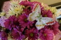 Bouquet with a beaded brooch in the shape of a butterfly