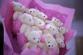 A bouquet of bears Royalty Free Stock Photo
