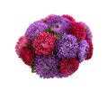 Bouquet of beautiful asters isolated on white, top view. Autumn flowers Royalty Free Stock Photo