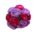 Bouquet of beautiful asters isolated on white, top view. Autumn flowers Royalty Free Stock Photo