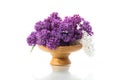 Bouquet of beautiful blooming lilacs in a vase Royalty Free Stock Photo
